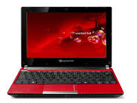 Packard Bell Dot SE/W-110UK