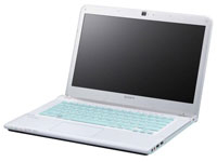 Sony VAIO Laptop SVE14A1V1EW