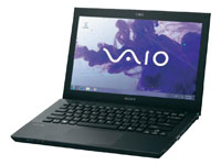 Sony VAIO Laptop SVS13A1V9EB