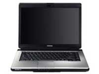 Toshiba Satellite Pro L300-1DS