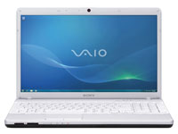 Sony VAIO Laptop VPCEH23FX
