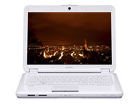 Sony VAIO Laptop VGN-CS220J