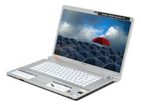 Sony VAIO Laptop VGN-FW130N/W