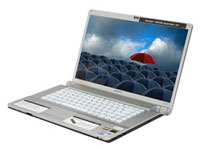 Sony VAIO Laptop VGN-FW139N/W