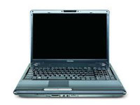 Toshiba Satellite P305D-S8834