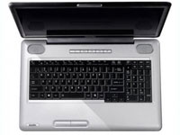 Toshiba Satellite L550-1C8