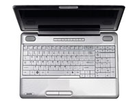 Toshiba Satellite L500 (PSLS0E-05P01FFR)