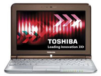 Toshiba Netbook NB305 (PLL3AE-02D00KCE)