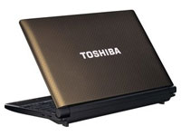 Toshiba Netbook NB550D-10U