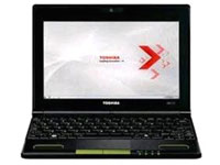 Toshiba Netbook NB550D-114