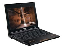 Toshiba Netbook NB550D-116
