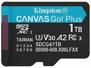 Kingston 1TB Canvas Go! Plus microSD Card - V30 UHS-I