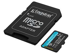 Kingston 1TB Canvas Go! Plus microSD Card - V30 UHS-I