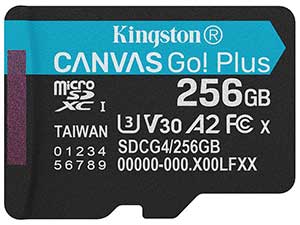 Kingston 256GB Canvas Go! Plus microSD Card - V30 UHS-I