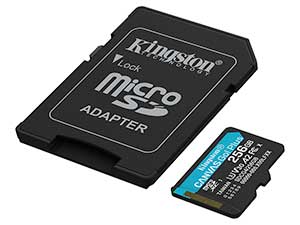 Kingston 256GB Canvas Go! Plus microSD Card - V30 UHS-I