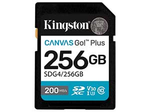 Kingston 256GB Canvas Go! Plus SD Card - V30 UHS-I