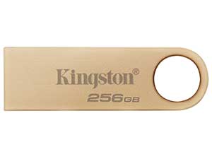 Kingston 256GB DataTraveler SE9 G3 USB Flash Drive