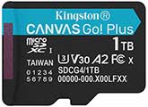Kingston 1TB Canvas Go! Plus microSD Card - V30 UHS-I